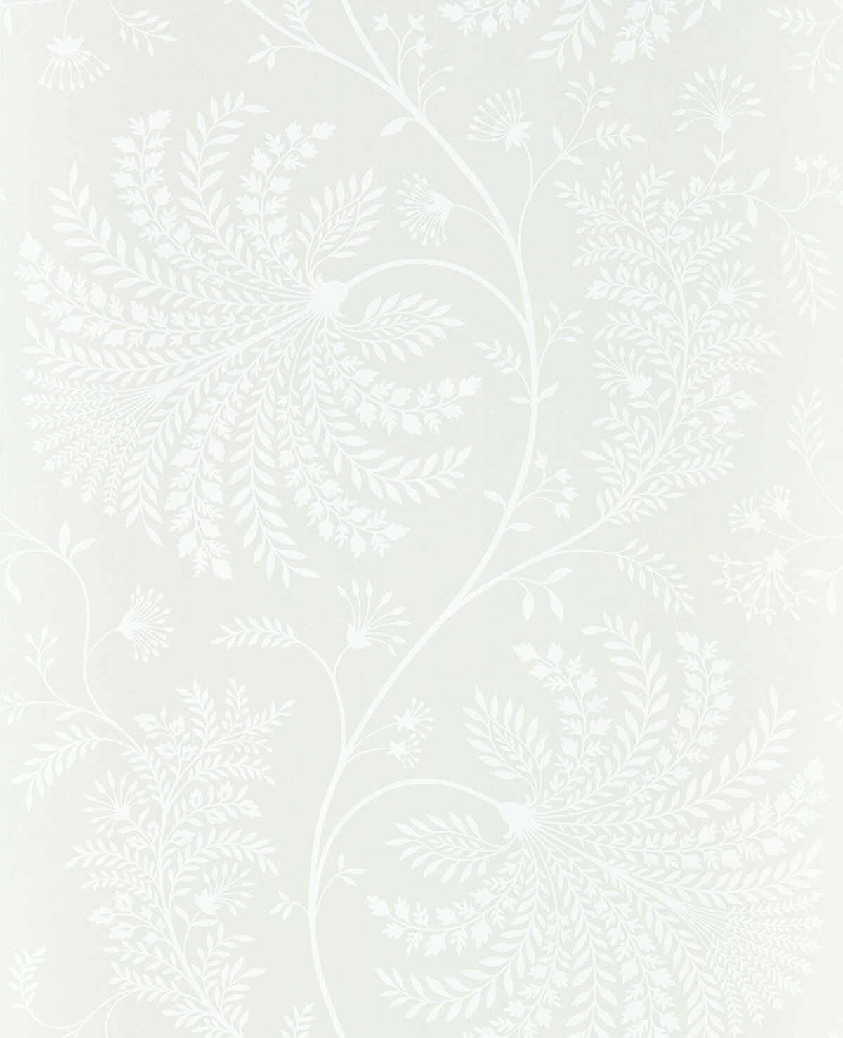 New From Sanderson - The Curios Wallpaper Collection