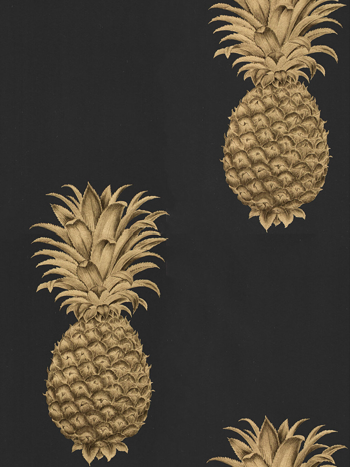 New From Sanderson - The Curios Wallpaper Collection
