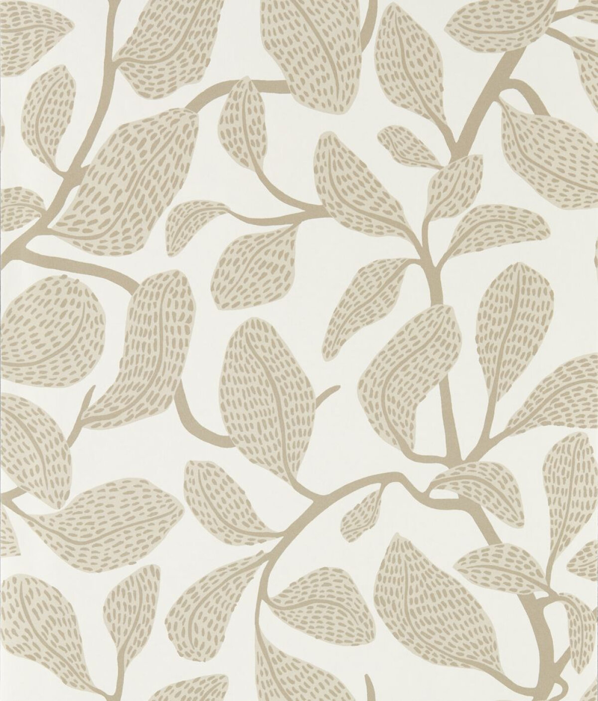 Explore The New Oakham Collection From Scion!
