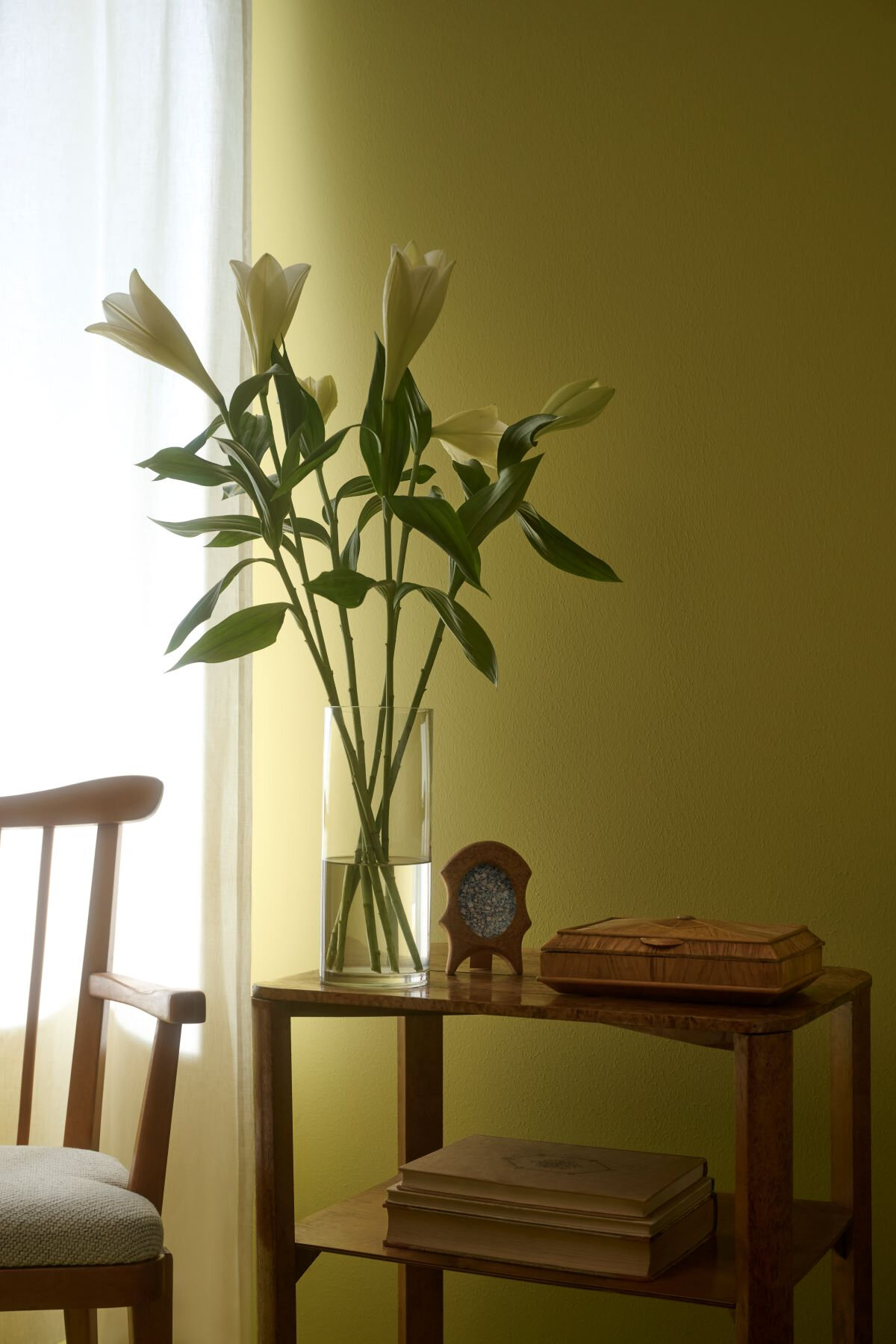 Johnstone’s Trade™ Brand By PPG Reveals Secret Safari As 2026 Colour Of The Year