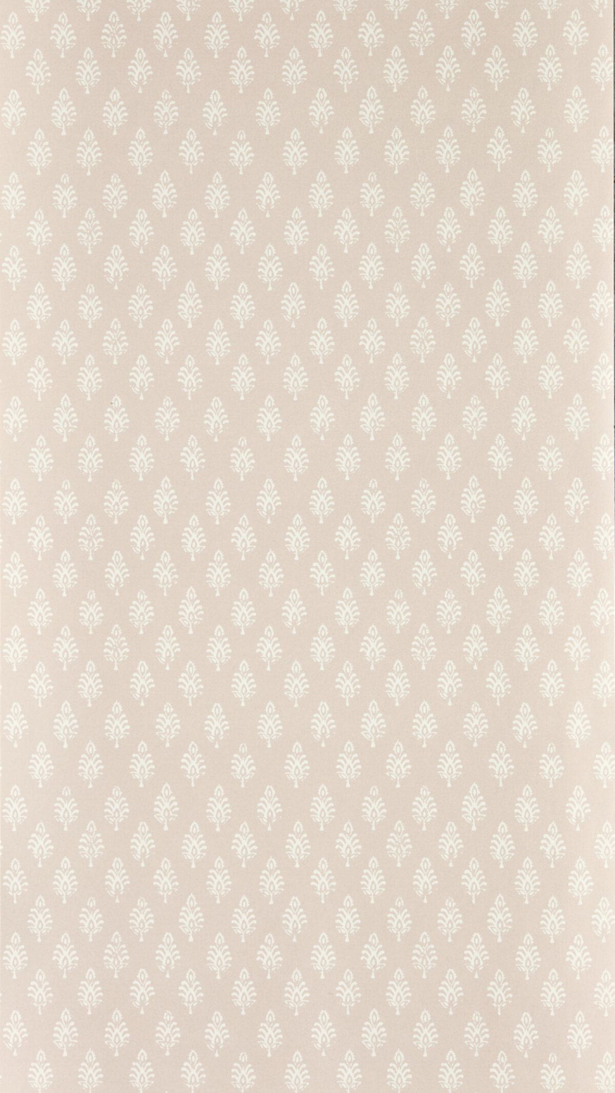 New From Clarke & Clarke - The Indira Wallpaper Collection