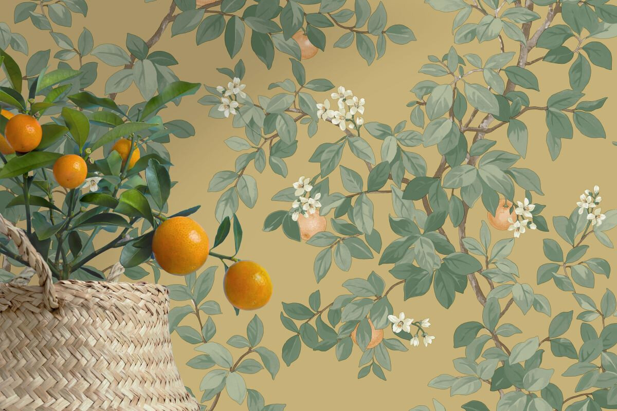 Introducing Imagination, A New Wallpaper Collection From Albany