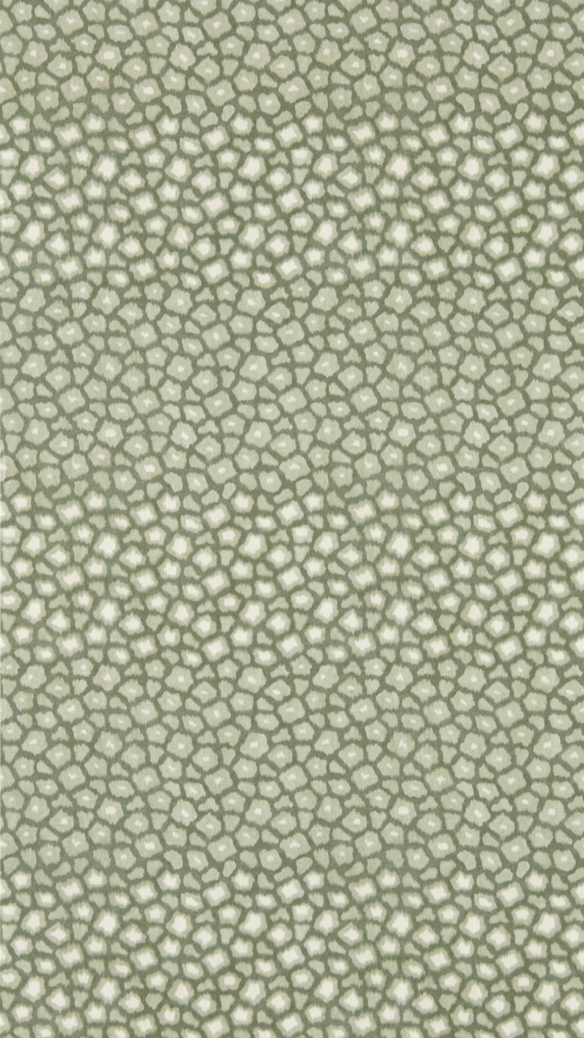 Introducing Harelquin's Latest Wallpaper Collection - Defined Momentum