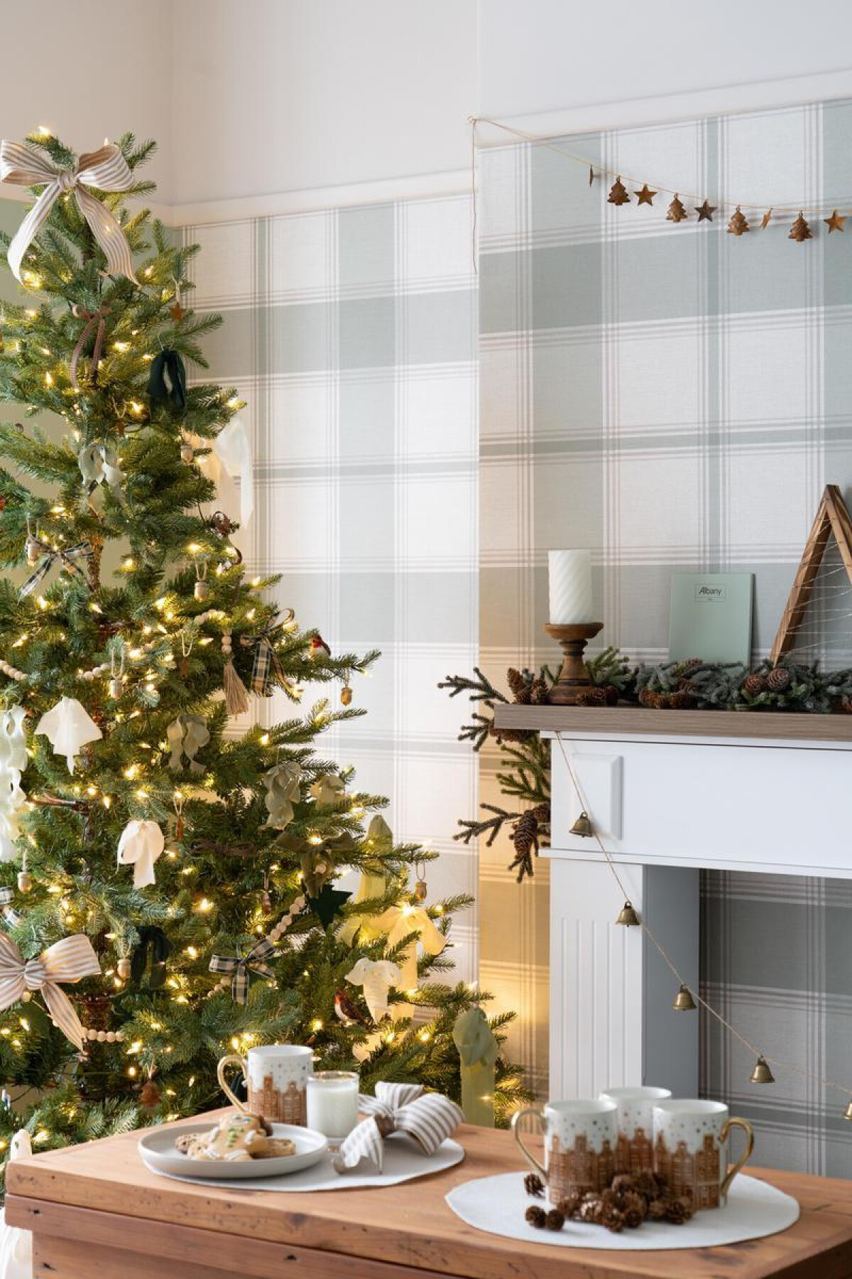 A Cosy Christmas With Albany!
