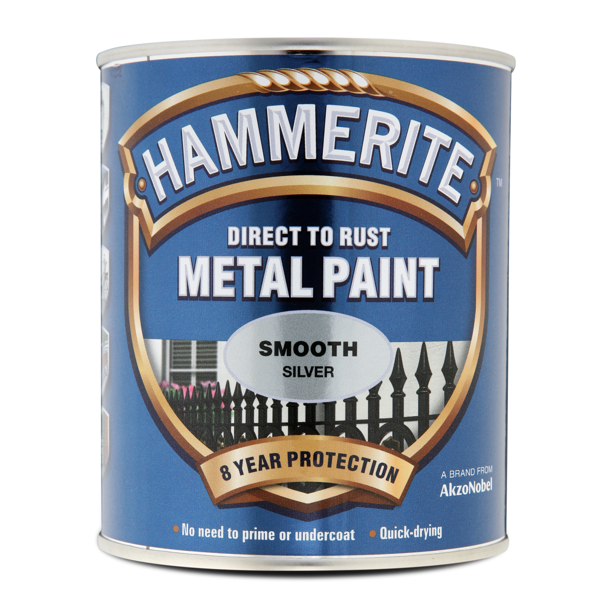 Direct to Rust Metal Paint Smooth Silver 750ML (BG1510380NA)
