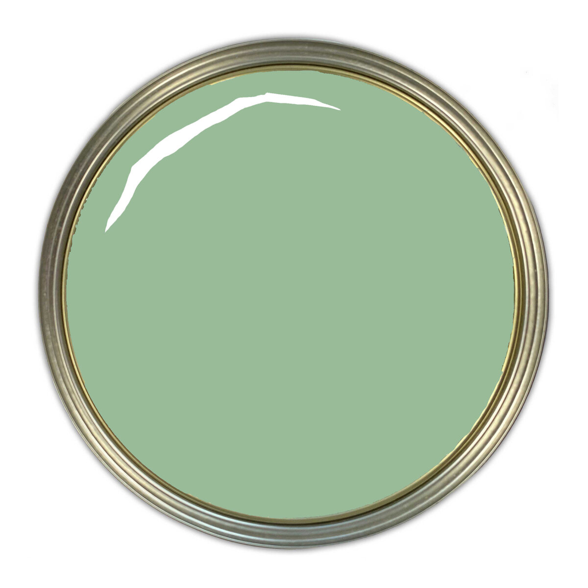 Earthborn Claypaint Little Sprout Swatch (AV053168)