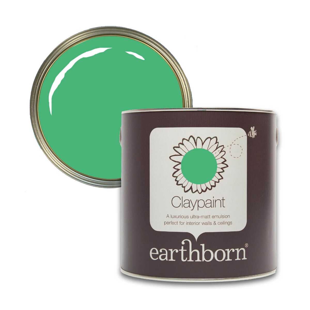 Earthborn Claypaint Riverbank Tin Swatch (AV053196)