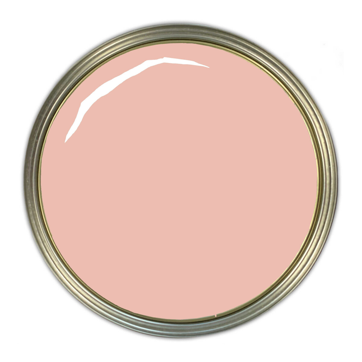 Earthborn Claypaint Thimble Lane Swatch (AV05321305)