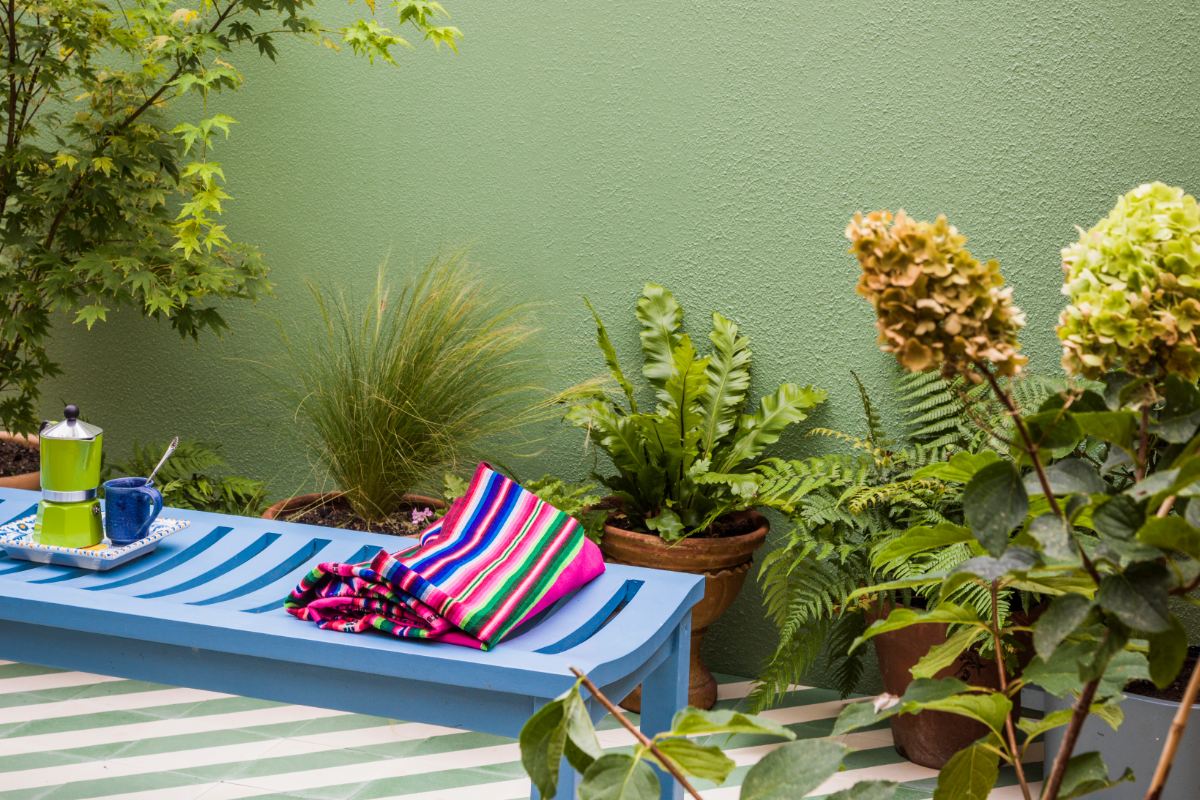 Green wall with plants and a blue bench in front
