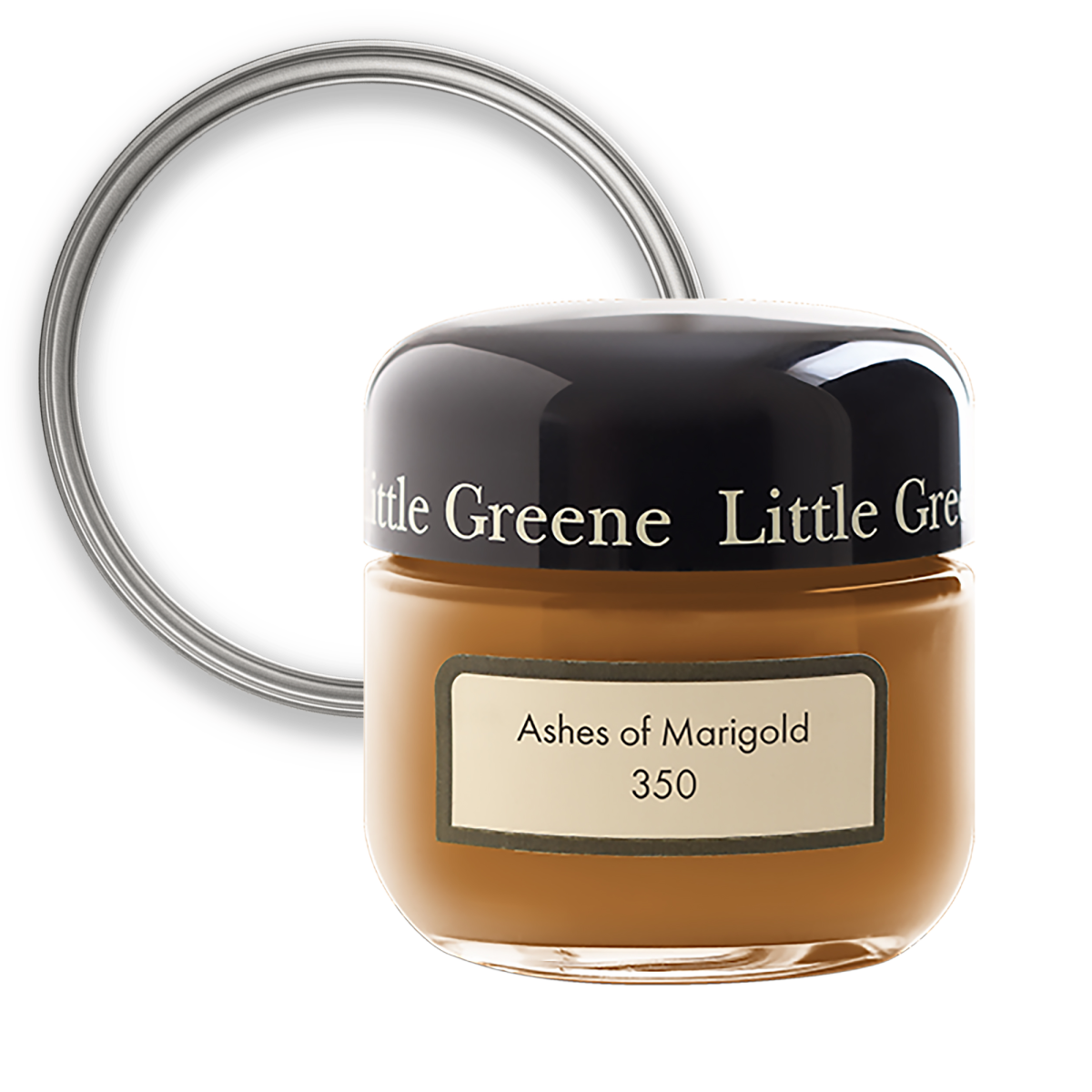 Absolute Matt Sample 60ml Ashes of Marigold 350 (AV09911198V)