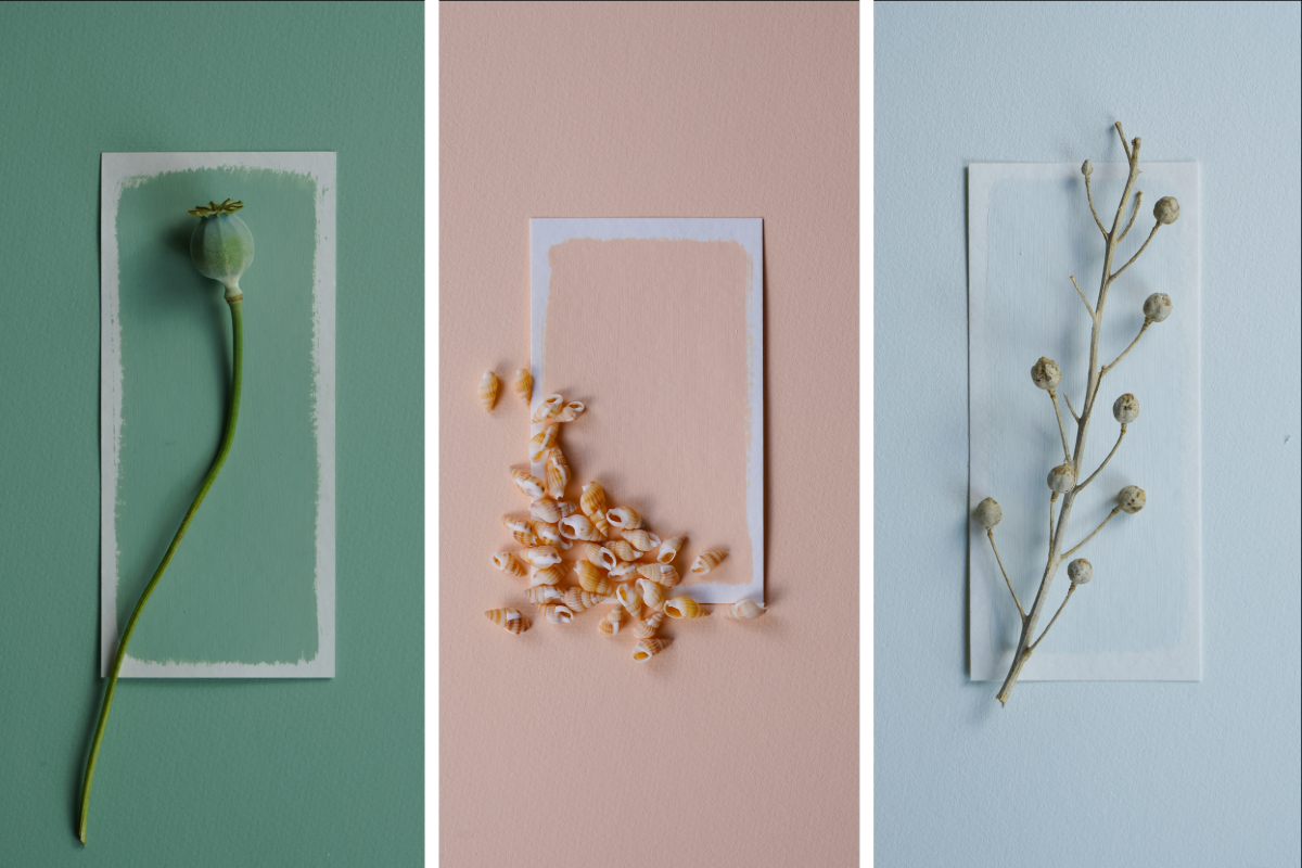 Soft peach and apricot colour palette