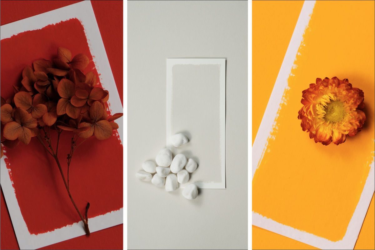 Bright orange colour palette