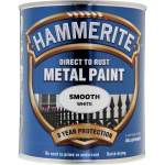 Direct to Rust Metal Paint Smooth White