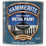 Direct to Rust Metal Paint Hammered Black (Ready Mixed)