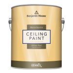 Ceiling Paint White