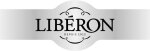 Large Logo