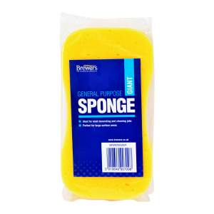 General Purpose Sponge