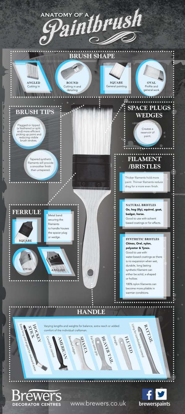 Anatomy of a paintbrush - infographic