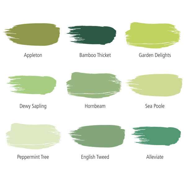 10% off Albany Green palette