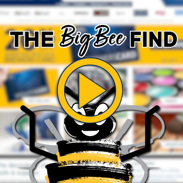 The Big Bee Find