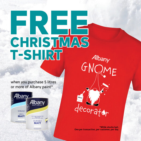 Albany Christmas T-shirt
