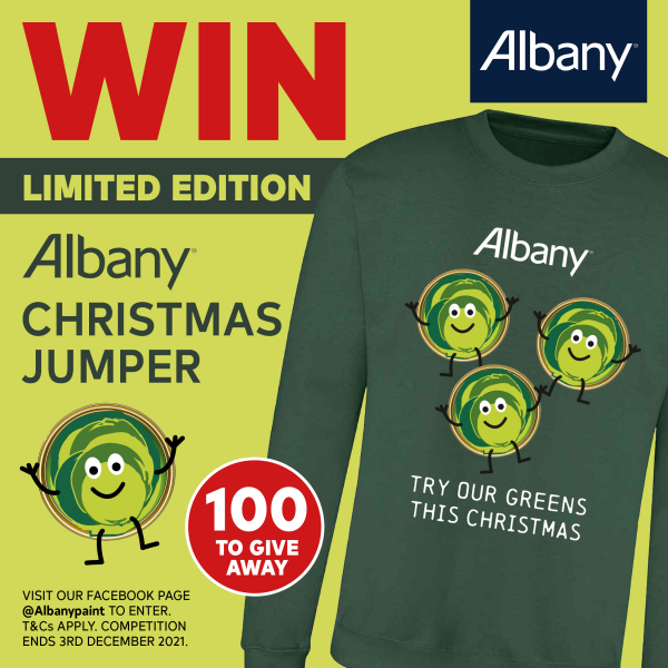 Albany Christmas Jumper