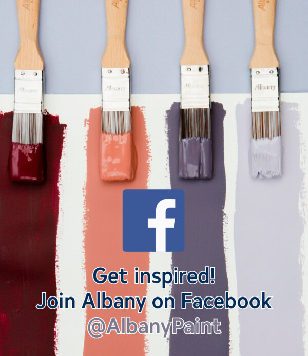 Follow Albany on Facebook