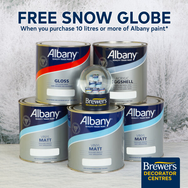 Albany Snow Globe