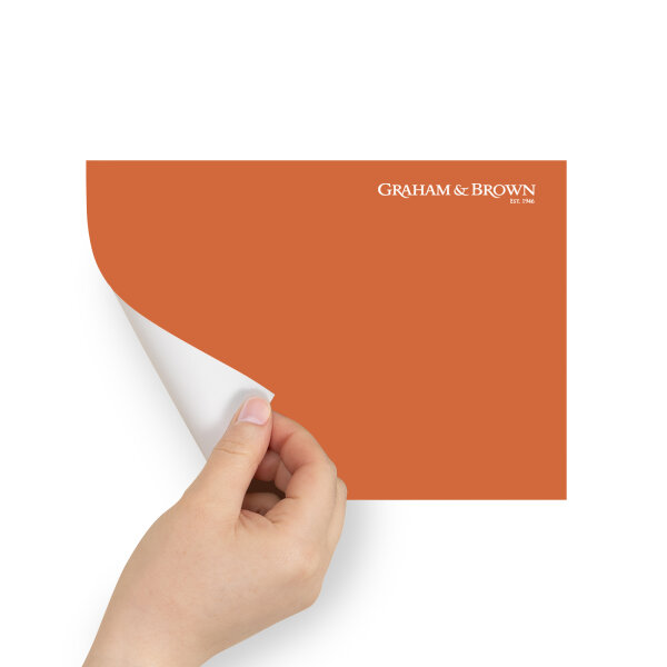 Graham & Brown Peel & Stick Sample Fortune Cookie (AV062381755)