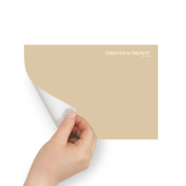 Graham & Brown Peel & Stick Sample Kiku (AV062382000)