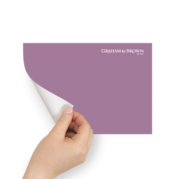 Graham & Brown Peel & Stick Sample Sleepless (AV062382620)