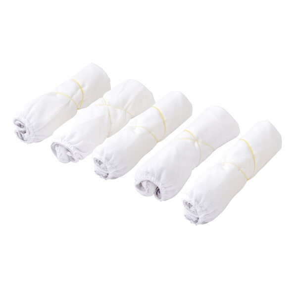 Fine Mesh Paint Strainer (5 Pack) 2 Gallon (LE567110)