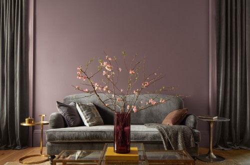Colour Trends 2025 image