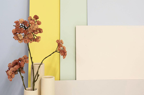Albany Colour Collection image